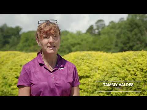 2020 AJGA Safety Protocols Explained
