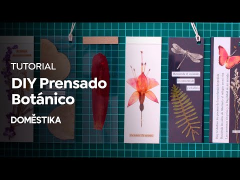 girasol Ciro Collar Tutorial DIY: cómo hacer separadores con la técnica de prensado botánico |  Domestika