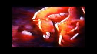 Watch Gg Allin Swank Fuckin video