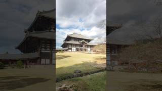 奈良東大寺 | 有鹿群的壯觀寺院 | Tōdai-ji