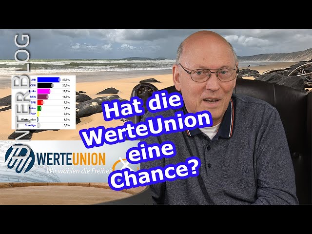 Ist die WerteUnion tot? Ziele, Positionierung, Ausblick, Koalitionen class=