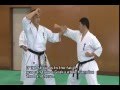 2 Bunkai Kumite Pin an Sono Ni Gedan Barai