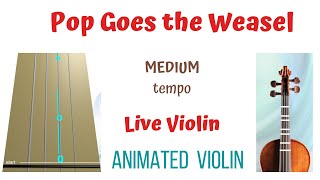 POP GOES THE WEASEL - Medium tempo -  Animated LIVE Violin & Backing track