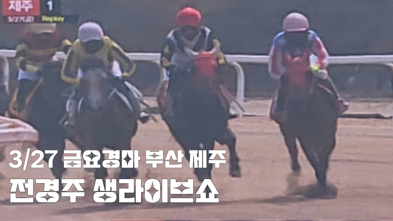제주 약물파동으로 어수선한 금요경마 간만에 마칠인삼?(생라이브쇼)