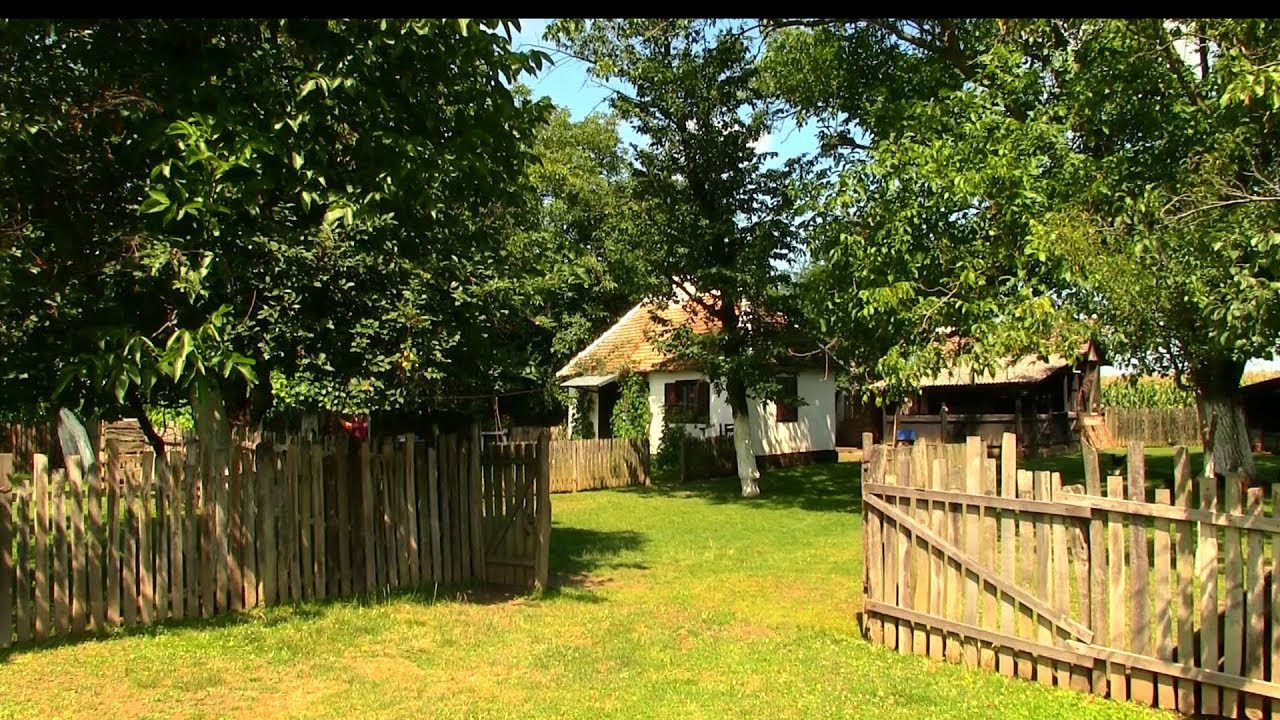 Мачванске колебе у модерном руху-ТВ Емисија: Јуче, данас и сутра наше Мачве