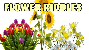 Flower riddles | Who am I riddles