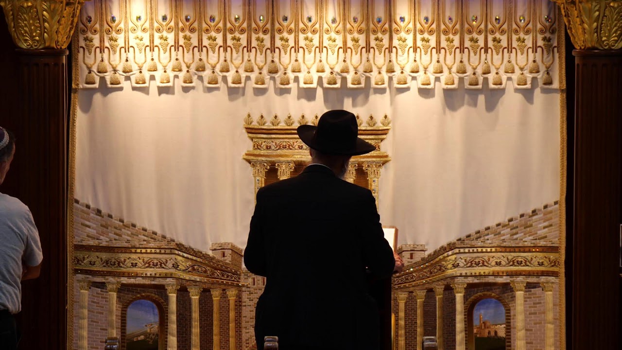 הרב מאיר דוד שמואלי שליט"א - שידור חי יום ד' - פרשת עקב תשפ"ו