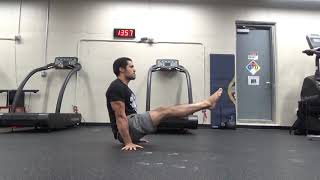Module 2 - Lesson 1 - Day 5 - L Sit Assessment