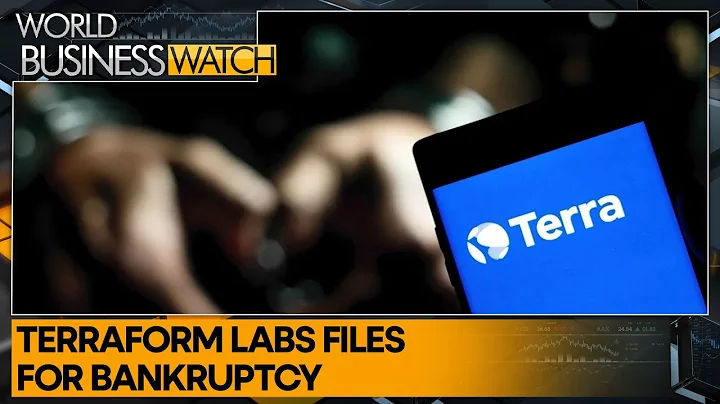Singapore-based terraform labs faces bankruptcy | World Business Watch - DayDayNews