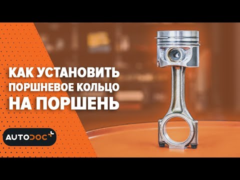 Как установить поршневое кольцо на поршень | #autodoc #lifehack