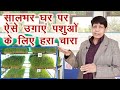 बिना मिट़टी और कम पानी में घर पर ऐसे उगाएं हरा चारा Hydroponic technique for green fodder||