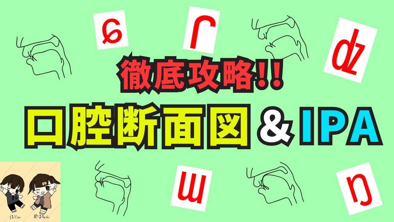 【再アップ＆修正版】徹底攻略！！ 口腔断面図＆IPA（国際音声記号） - YouTube