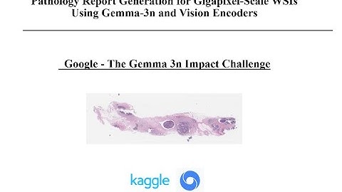 Kaggle Gemma3n Hackathon Project Demo Video