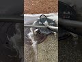 Pressure wash sidewalks