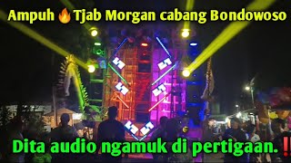 Download lagu Tjab Morgan ampuh🔥Dita audio Bondowoso ngamuk di pertigaan karnaval Karangrejo 