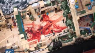 The pressure is on. And it's on Japan to quit its whaling practices...