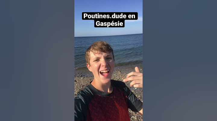 Poutines.dude en Gaspésie