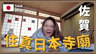 【佐賀🇯🇵】入住真正日本寺廟～體驗日式慢生活＋唐津市一日遊｜豚長帶團 Ep.98 ft. Cambly {中文字幕 Eng CC}