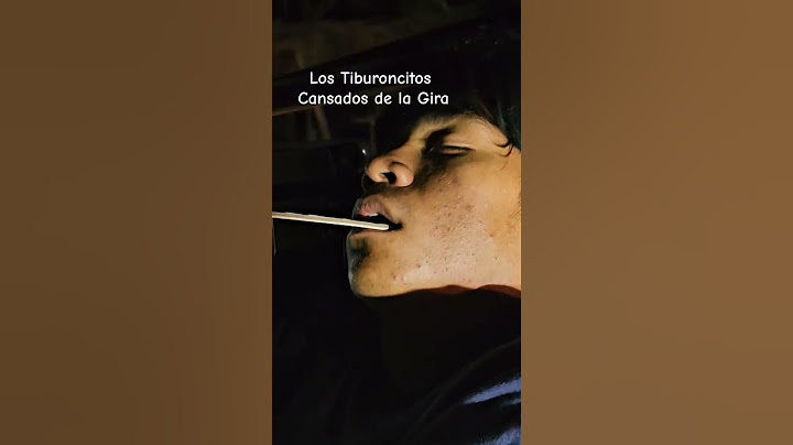Siglo XX-Producciones Karaoke Los Tiburoncitos Cansados de la Gira 2024.