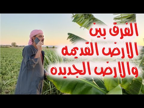 الفرق بين الارض الجديده والقديمه وقيمة الاستثمار الزراعي