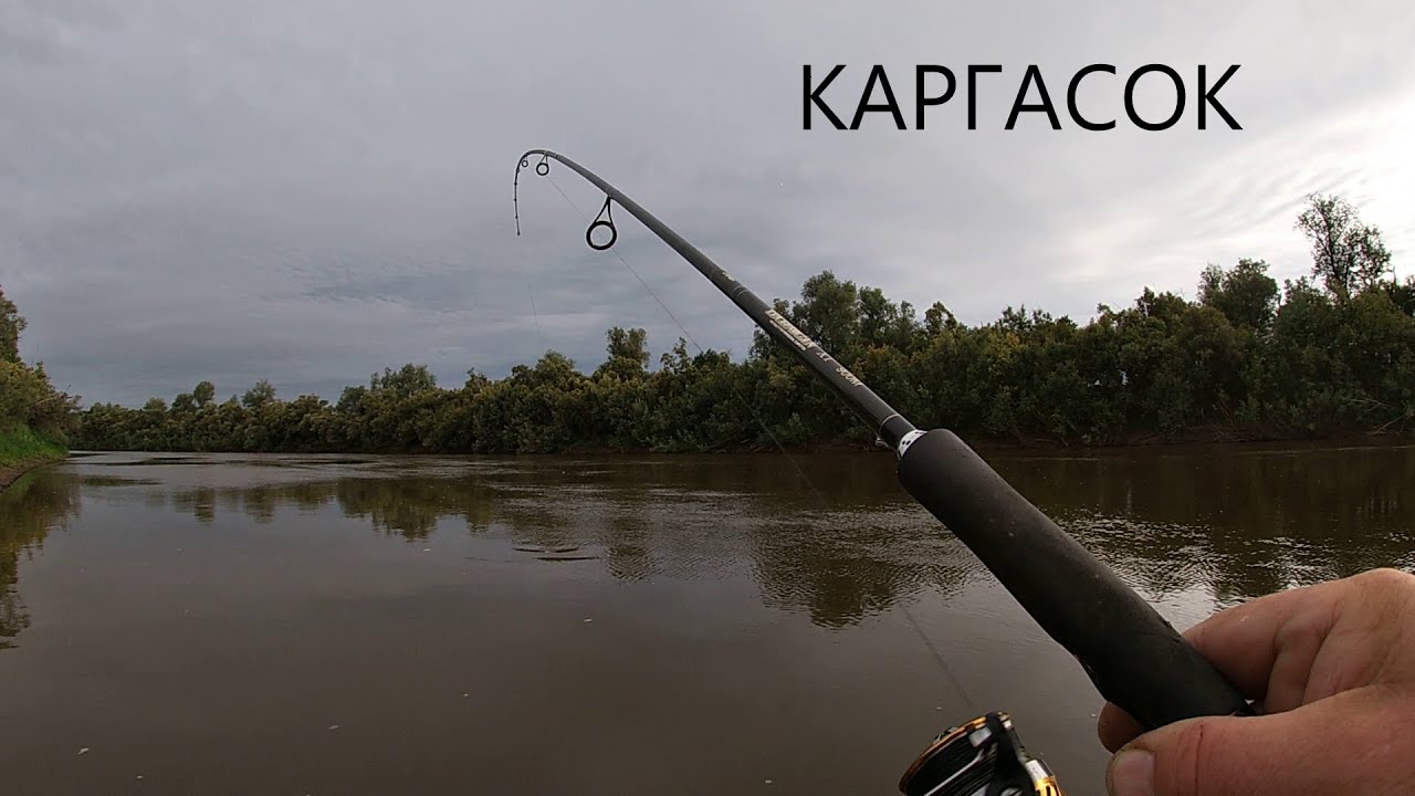 Каргасок. Томская область| 21-22.08.23| Рыбалка по большой воде ...
