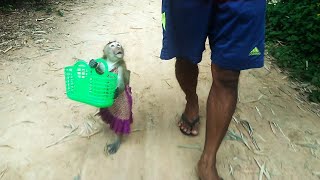 Wise Shally Talking With Eyes Contact To Dad While Walking