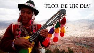 FLOR DE UN DIA ( CHARANGO, QUENA Y ZAMPOÑA)