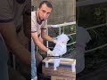 مات قلوب الناس مات قلوب العرب مات قلوب الناس مات قلوب العرب