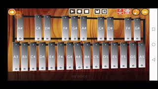 my first love - nikka costa ( professional xylophone)
