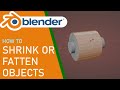 Blender how to shrink or fatten objects