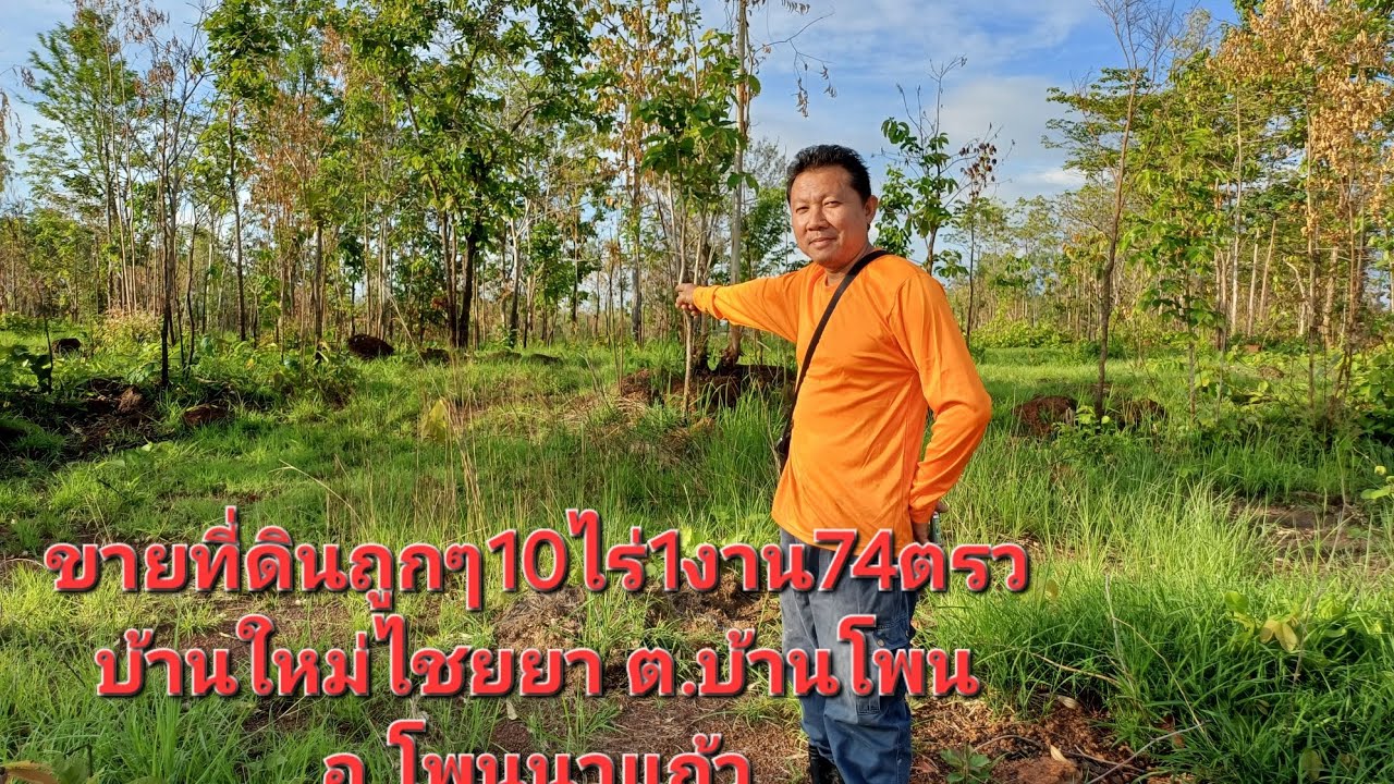 ขายที่ดินถูกๆ