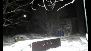 Jibbin' 2010