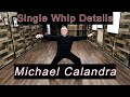 Michael calandra single whip yilu details 5