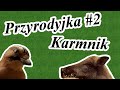 Przyrodyjka #2 Karmnik