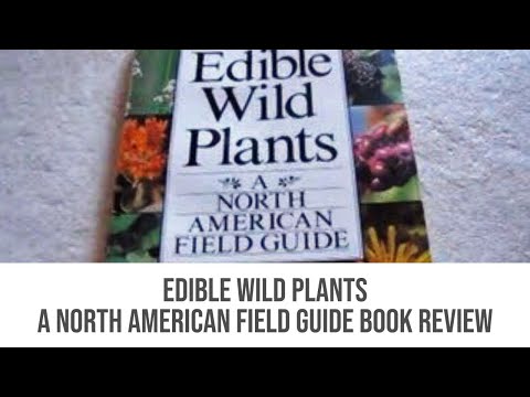 Edible Wild Plants A North American Field Guide Book Review - Friday Finds