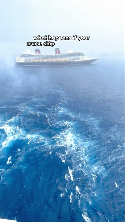 What happens if your CRUISE SHIP hits a STORM? 🤯