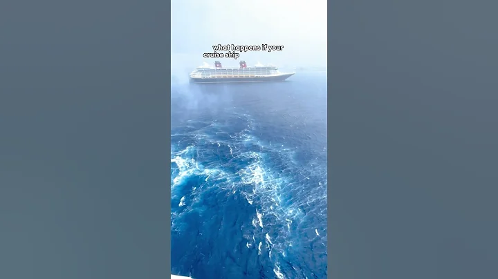 What happens if your CRUISE SHIP hits a STORM? 🤯 - DayDayNews