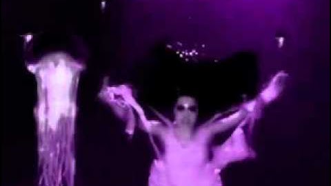 Evanescence-Whisper(music video)