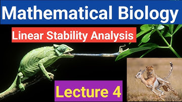 Linear Stability Analysis | Mathematical Biology | Lecture 4 | Population Dynamics |