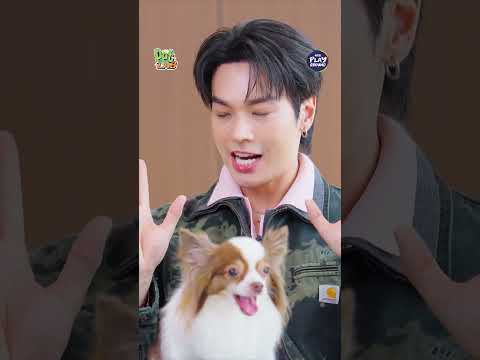 [#SHORTS CLIP] ปลุกแทนนาฬิกาไปเลยสิคะ l Pet Lab l One Playground
