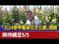 「2024學甲蜀葵花文化節」開跑 將持續至5/5