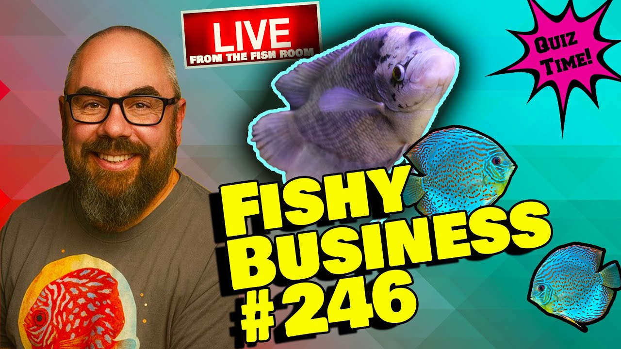 Friday Night Live! -  Fishy Business #246