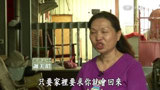 【草根菩提】20150609 - 我們的幸福時光