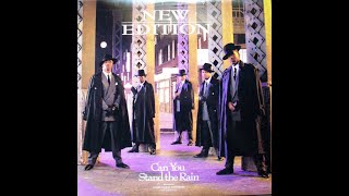 New Edition - Can You Stand The Rain 29 to 52hz