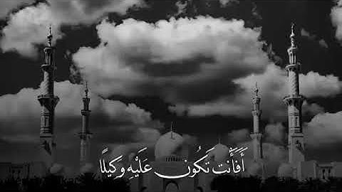 القارئ إدريس أبكر..سورة الفرقان..مقاطع انستجرام...🌸🌿