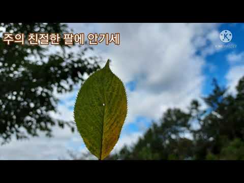 잔잔한연주 한곡 주의 친절한 팔에 안기세