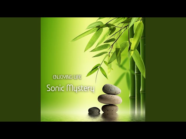 SONIC MYSTERY - Drive Me Gently