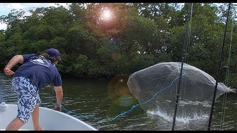 Mullet Run Easy Throw Cast Net Video - Capt Jeff Lunkerdog