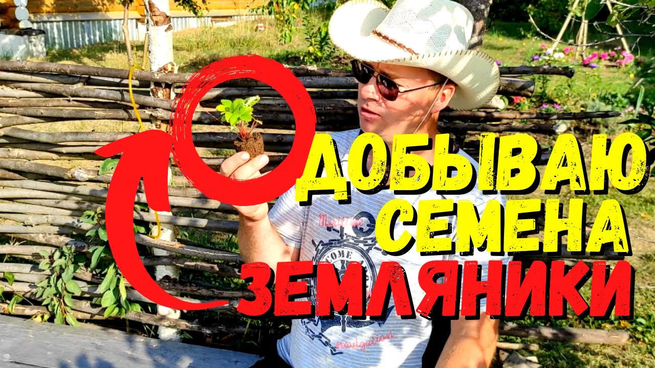 Магазин Семена На Киселева