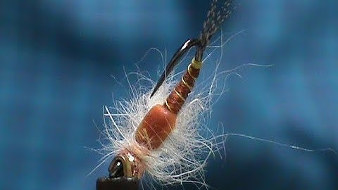 Fly Tying a Jighead Light Cahill Nymph with Jim Misiura